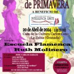Festival de baile a beneficio a favor Pro Inteligencia Límite Granada